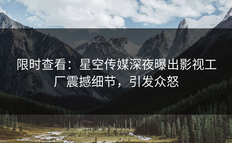 限时查看：星空传媒深夜曝出影视工厂震撼细节，引发众怒