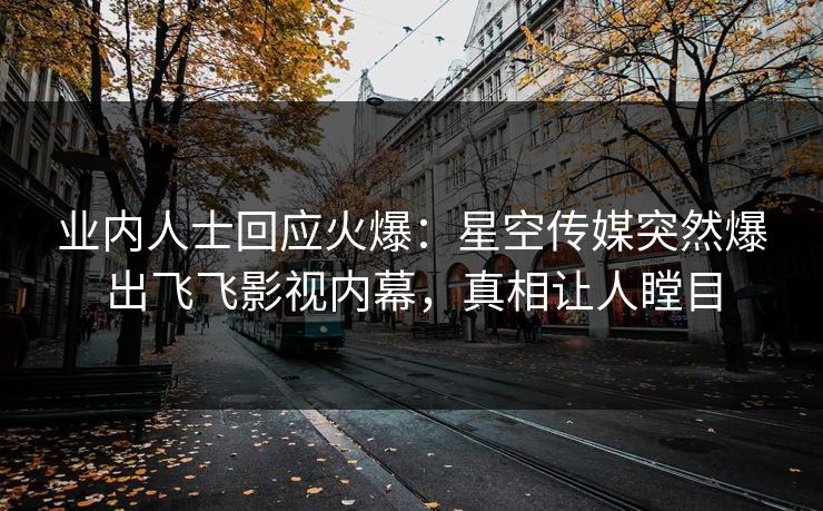 业内人士回应火爆：星空传媒突然爆出飞飞影视内幕，真相让人瞠目