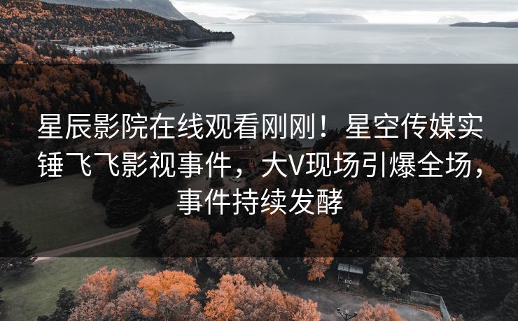 星辰影院在线观看刚刚！星空传媒实锤飞飞影视事件，大V现场引爆全场，事件持续发酵