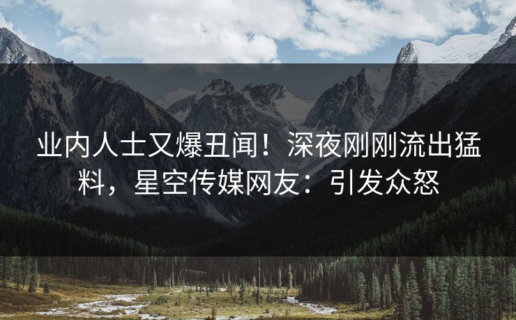 业内人士又爆丑闻！深夜刚刚流出猛料，星空传媒网友：引发众怒