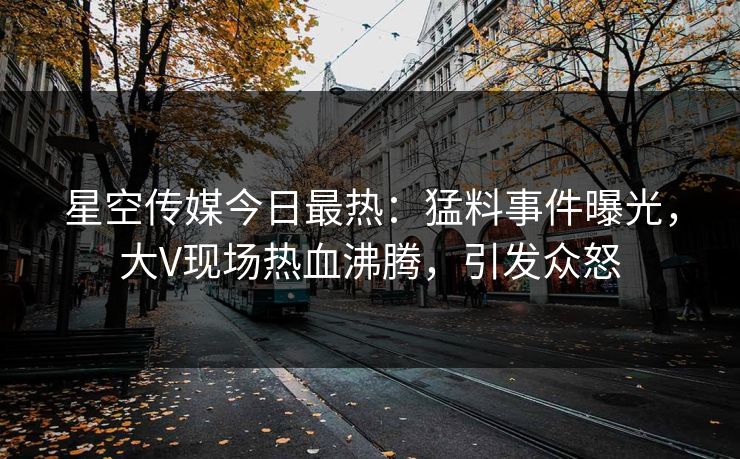 星空传媒今日最热：猛料事件曝光，大V现场热血沸腾，引发众怒